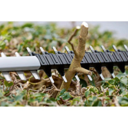 Taille-haies sans fil PRO GHE 18V-50