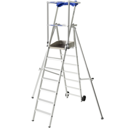 Escabeau plateforme 3 marches RAPTOR