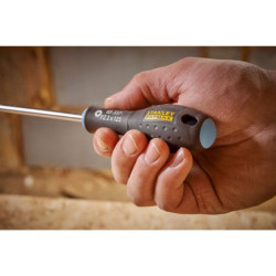 Tournevis jeu de 12 FATMAX
