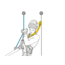 Longe absorbeur asap'border 40cm PETZL