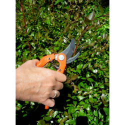 SECATEUR UNE MAIN BAHCO P121-23