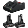 Pack 2 batteries GBA 12V 6.0Ah + GAL 12V-40