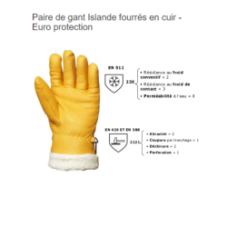 Gant cuir fourré ISLANDE taille 7