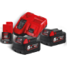 Pack NJR502 5AH 2 batteries + chargeur regroup
