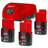 Pack NJR-303 12V 3 batteries 3,0AH + chargeur
