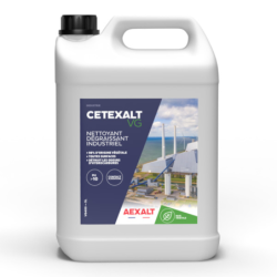 Nettoyant polyvalent végétal QUICKAEX VG 1 litre