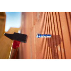 Cheville COLORTECH 6x35 8x50 sans vis seau de 300