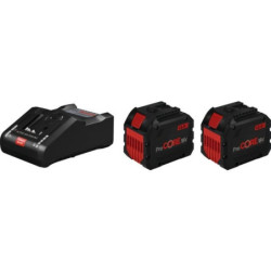 Pack 2 batteries Bosch ProCORE18V 12.0Ah + GAL 18V-160