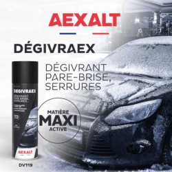 AEROSOL DEGIVRANT DEGIVRAEX 650ML