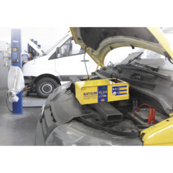 CHARGEUR AUTOMATIQUE BATIUM 15.24