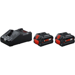 Pack 2 batteries ProCORE18V 8.0Ah + GAL 18V-160