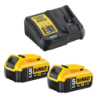 Pack 2 batteries XR 18V 5Ah Li-Ion + chargeur