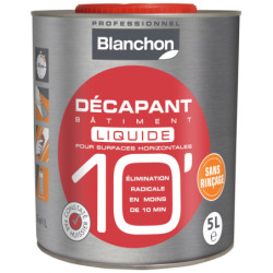 DECAPANT BATIMENT 10'LIQUIDE 1L