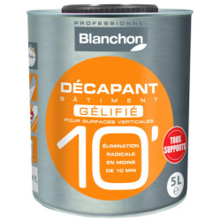 DECAPANT BATIMENT 10'GELIFIE 1L