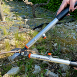 EBRANCHEUR PRO 60CM SUPERLEGER