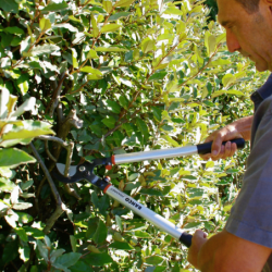SECATEUR 2 MAINS DEMULTIPLIE BAHCO 60 CM