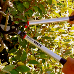 SECATEUR 2 MAINS DEMULTIPLIE BAHCO 60 CM
