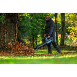 Souffleur Bosch GBL 18V-800