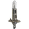 AMPOULE GYROPHARE H1 12V 55W 16221