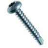 Vis autoperceuse acier TCX 4.8x25 boîte de 250