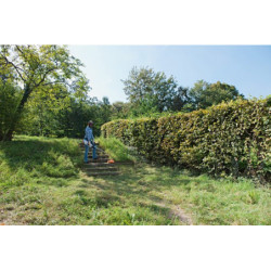 Coupe-bordures électrique STIHL FSE81